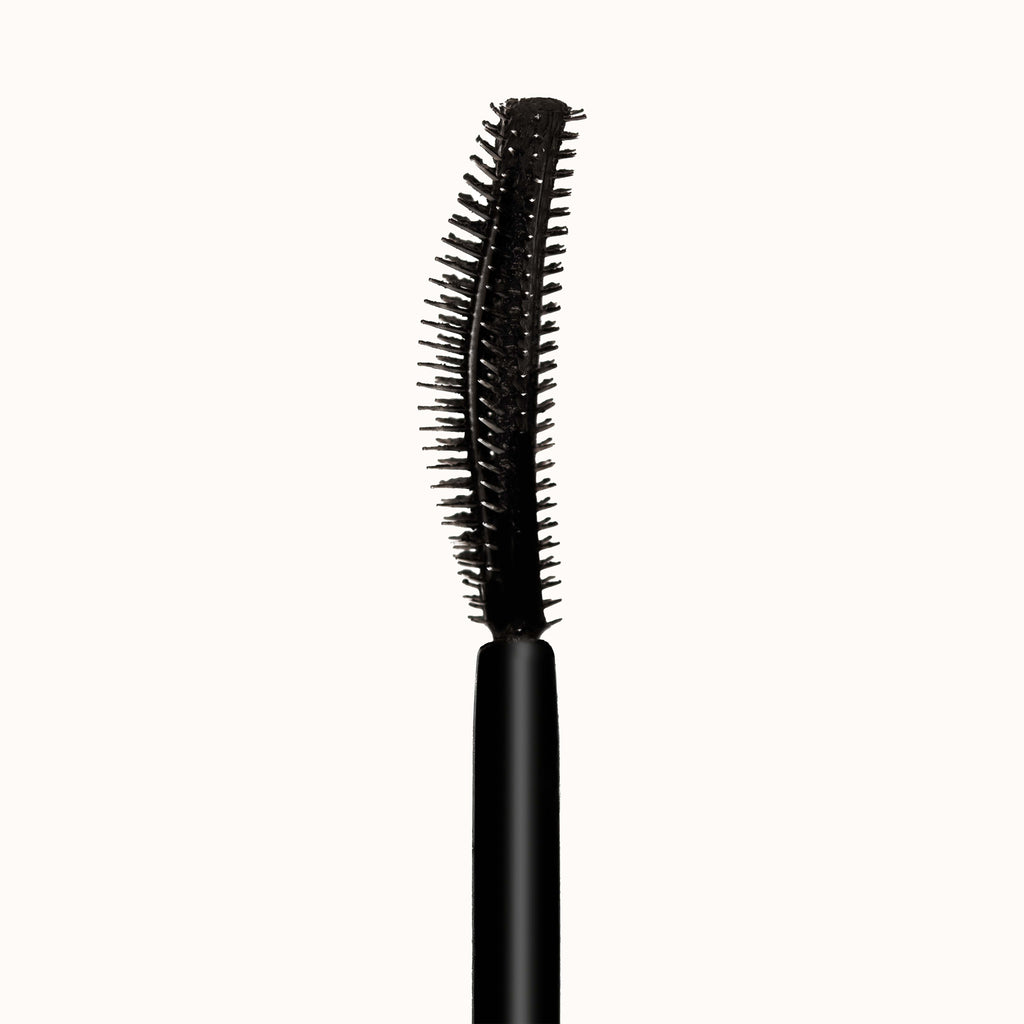 The Royal Mascara : Allongeant